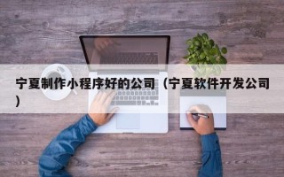 泉州宁夏制作小程序好的公司（宁夏软件开发公司）